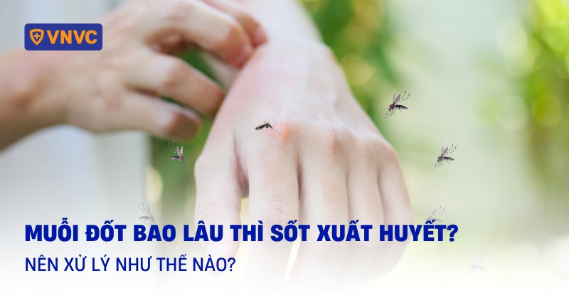 muỗi đốt bao lâu thì sốt xuất huyết
