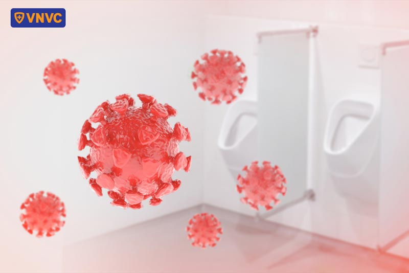 nguy cơ lây nhiễm hpv qua bồn cầu