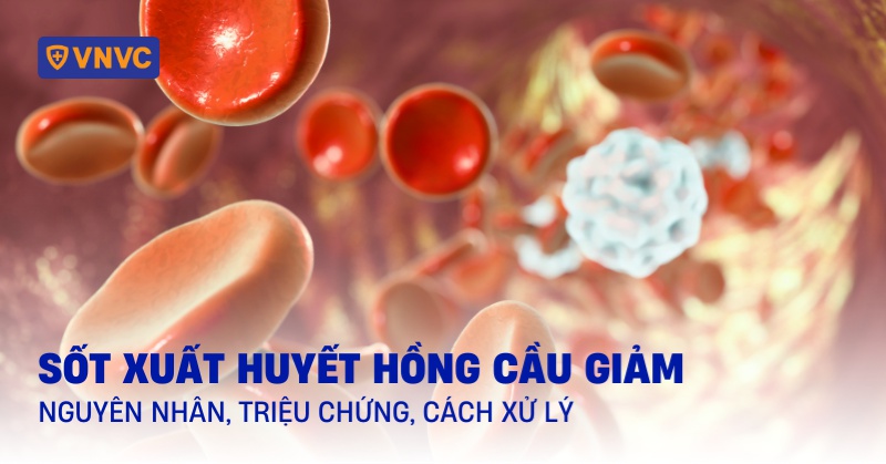 sốt xuất huyết hồng cầu giảm