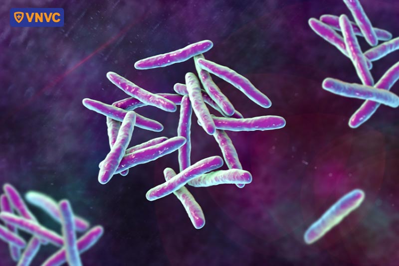 vi khuẩn lao