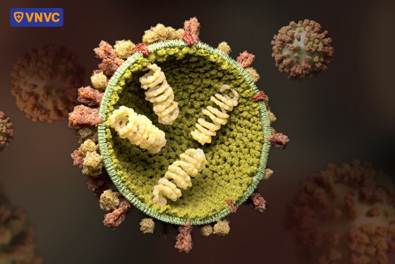 virus cúm