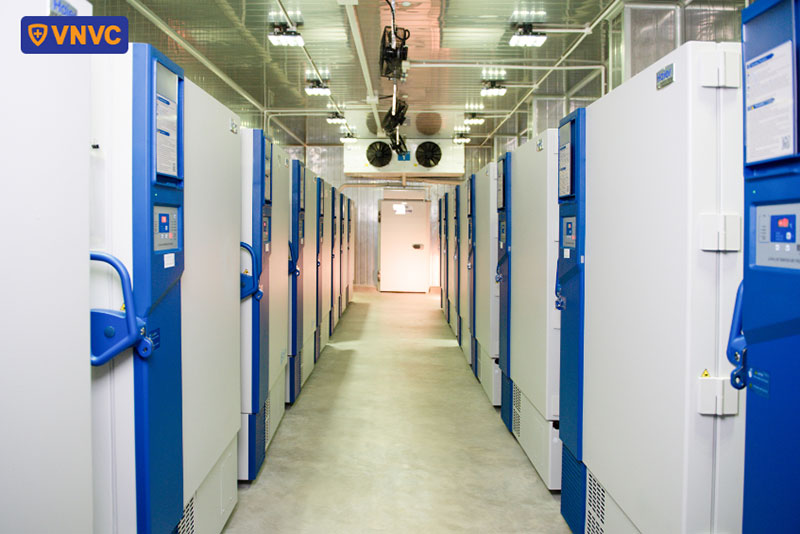 VNVC cold storage