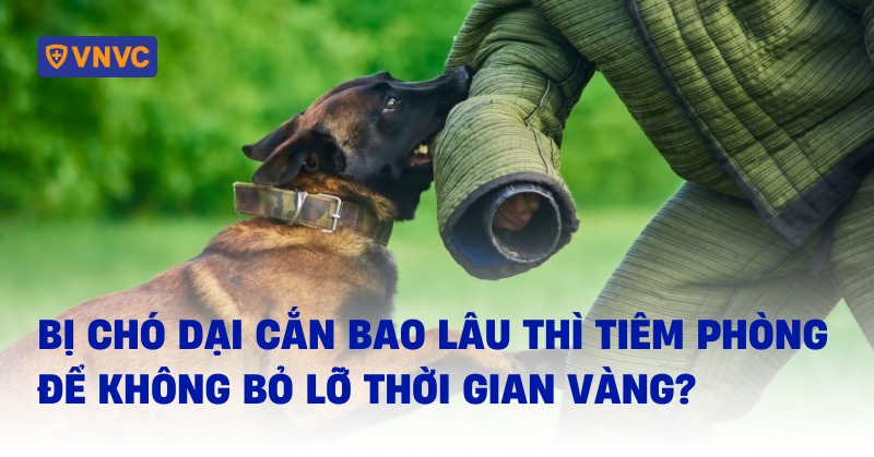 bị chó dại cắn bao lâu thì tiêm phòng