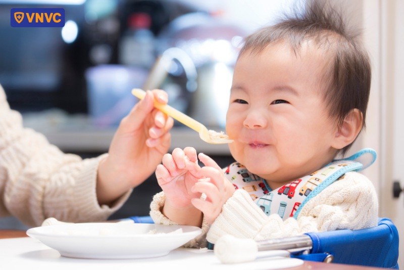 chế độ ăn đủ chất dinh dưỡng