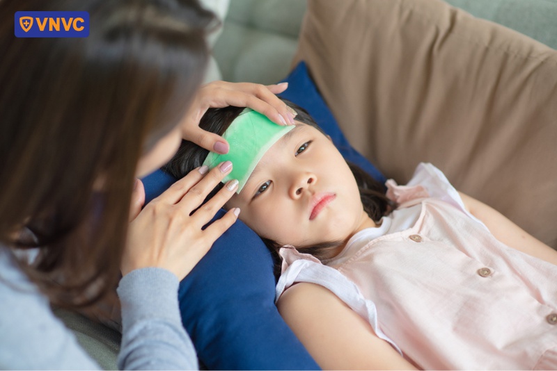 đắp rau diếp cá để hạ sốt