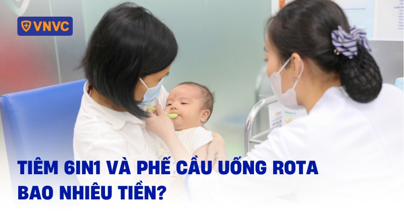 Tiêm 6in1 và phế cầu uống rota bao nhiêu tiền? Địa chỉ tiêm giá tốt