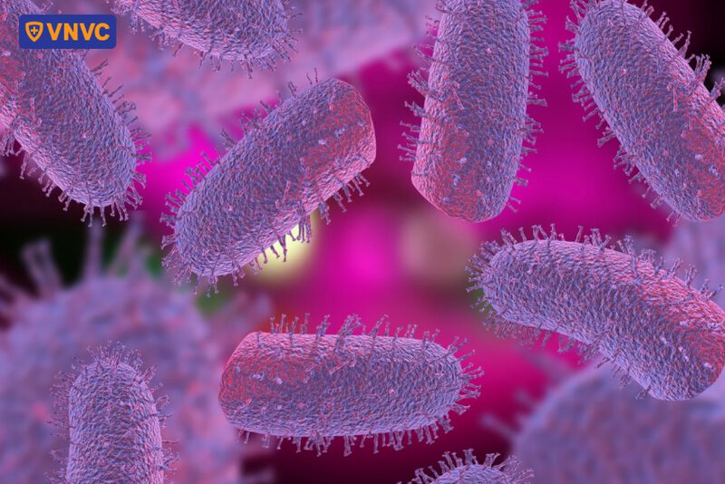 virus gây bệnh dại ở chó