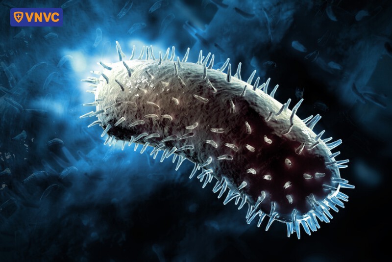 virus gây bệnh dại