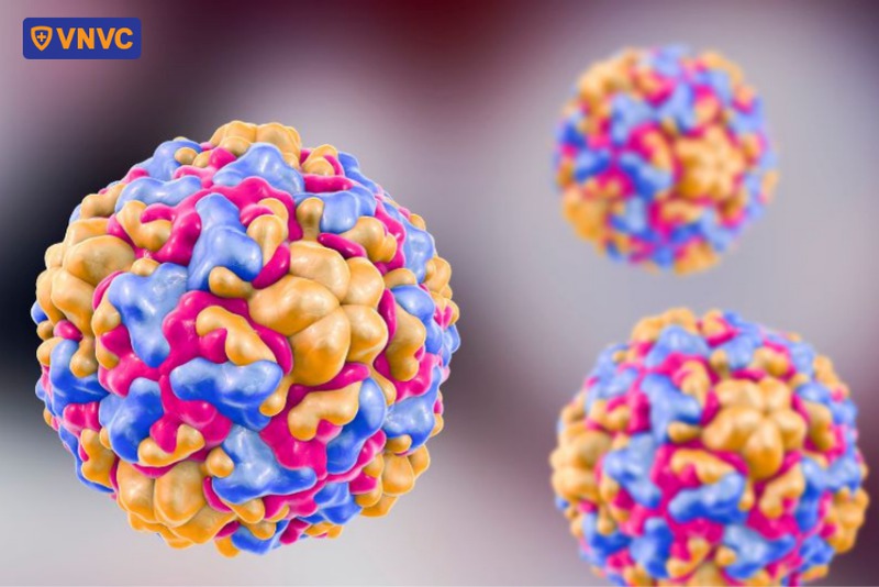 virus gây ra tay chân miệng