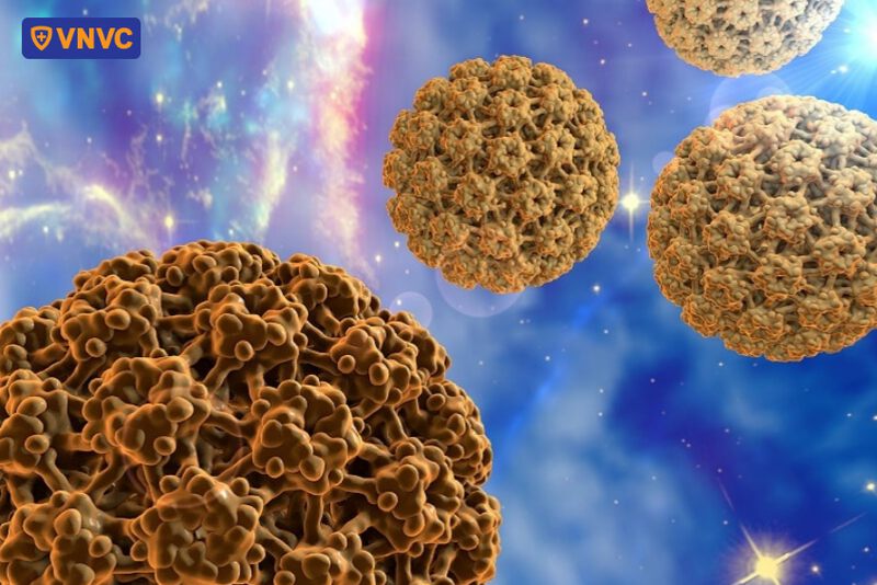 virus hpv