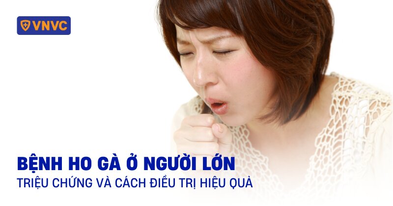 Bệnh ho gà ở người lớn: Triệu chứng và cách điều trị hiệu quả