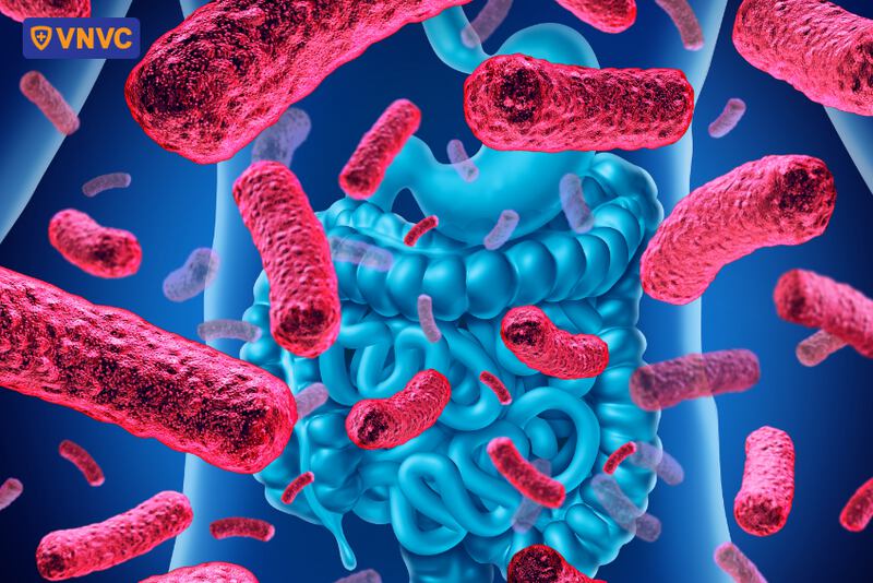 men vi sinh hỗ trợ cân bằng đường ruột