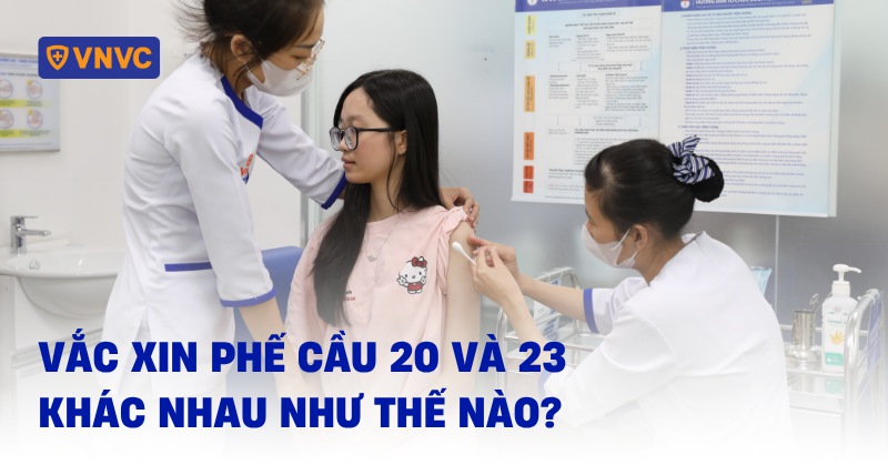 phế cầu 20 và 23