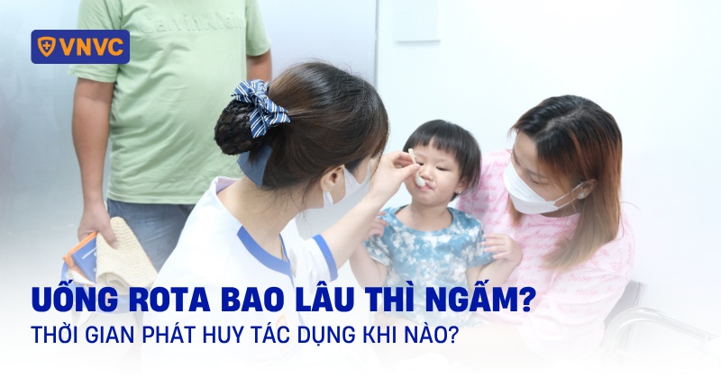 uống rota bao lâu thì ngấm