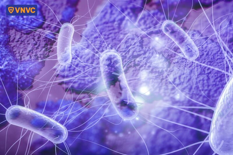 vi khuẩn gây nhiễm khuẩn đường ruột