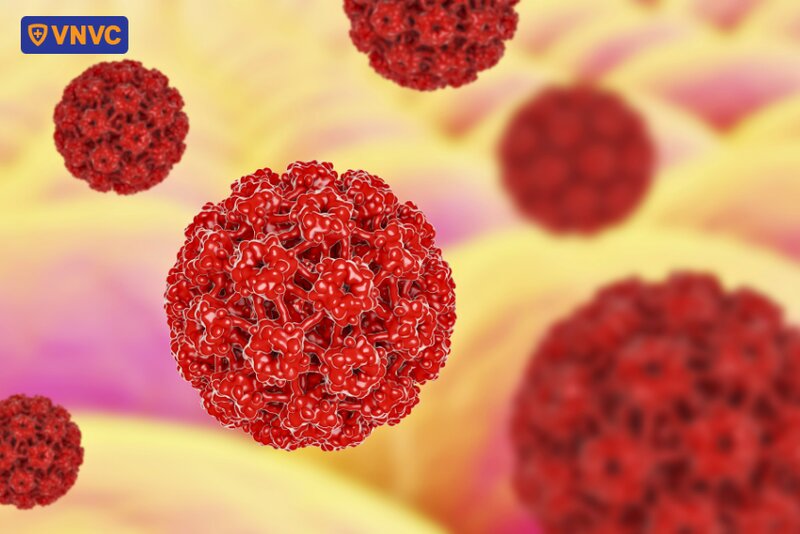 virus hpv gây sùi mào gà