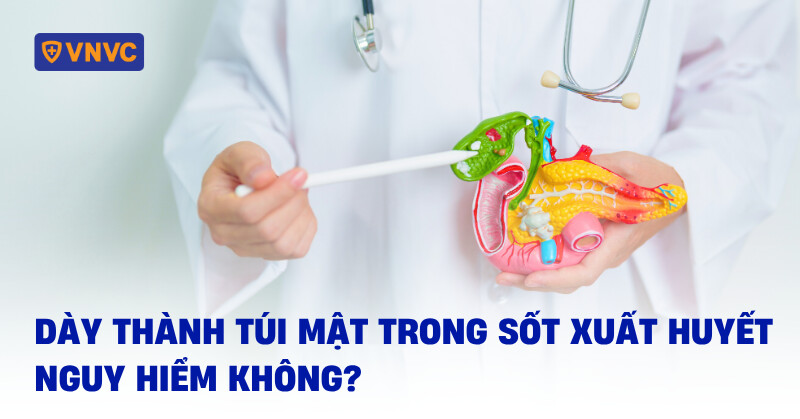 dày thành túi mật trong sốt xuất huyết