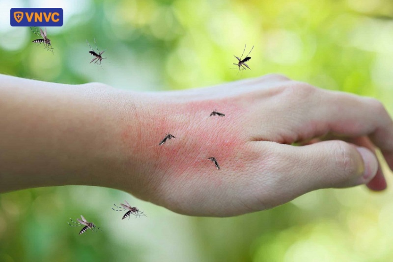 điều kiện thời tiết thuận lợi cho sốt xuất huyết lan rộng