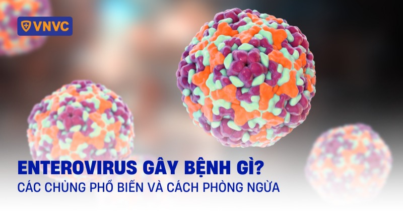 enterovirus gây bệnh gì