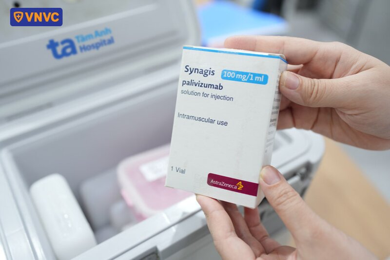 kháng thể rsv palivizumab