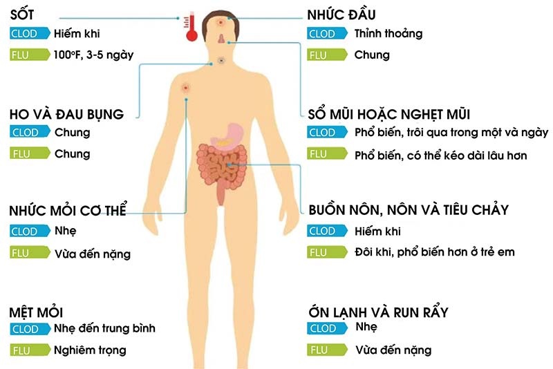 phân biệt triệu chứng cảm và cúm