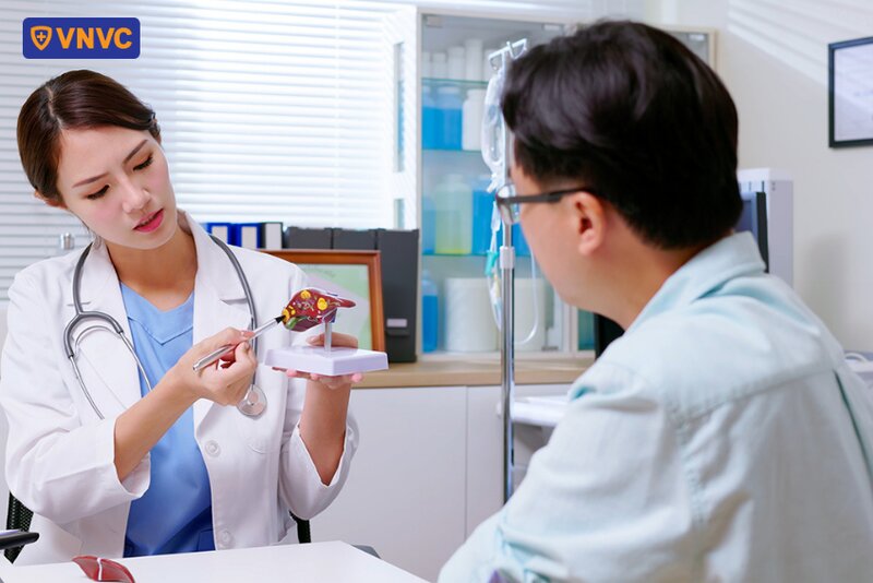 bác sĩ tư vấn bệnh gan với mô hình giải phẫu