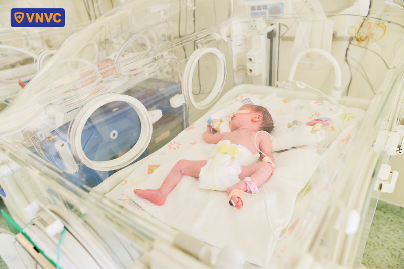 bé sơ sinh được chăm sóc trong lồng ấp