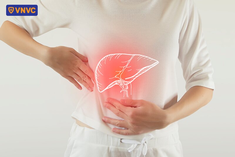 vị trí gan trên cơ thể