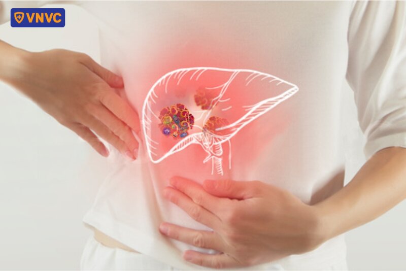 vị trí gan trên cơ thể