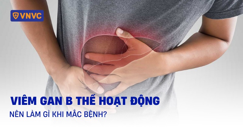 viêm gan b thể hoạt động