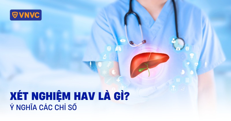 Xét nghiệm HAV là gì? Ý nghĩa các chỉ số