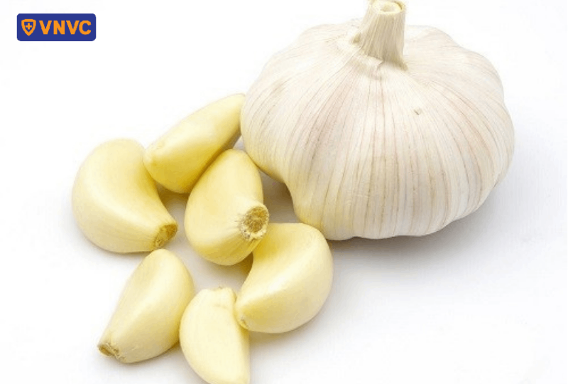 củ tỏi
