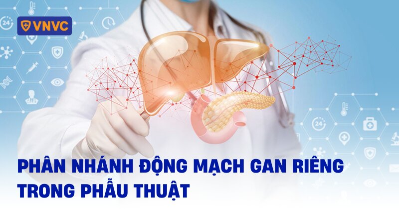 động mạch gan riêng