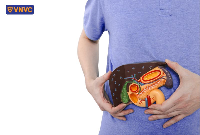 hỗ trợ trao đổi chất