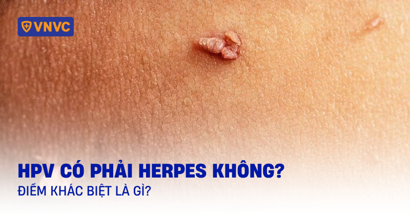 hpv có phải herpes không