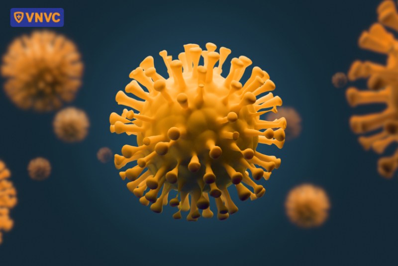 HPV có thể lây qua tiếp xúc gián tiếp với bề mặt nhiễm virus