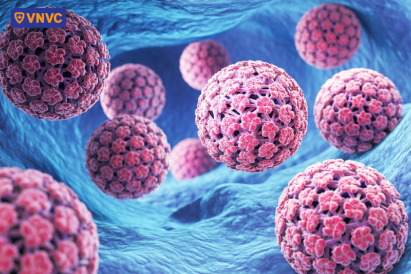 hpv không phải herpes