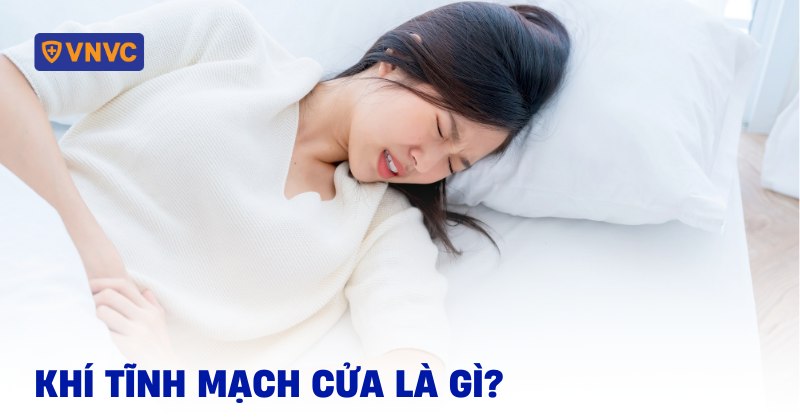 Khí tĩnh mạch cửa