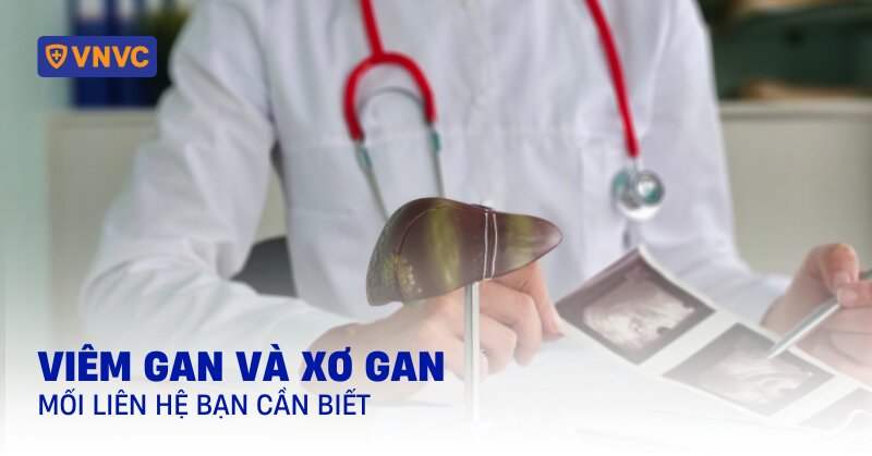 mối liên hệ giữa viêm gan và xơ gan