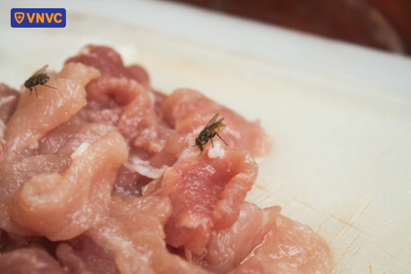 nguy cơ nhiễm khuẩn từ thịt sống