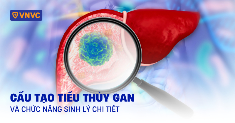 tiểu thùy gan