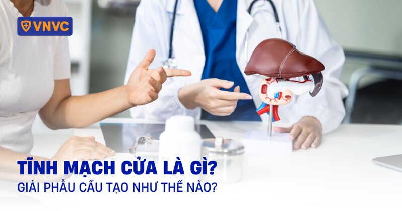 tĩnh mạch cửa