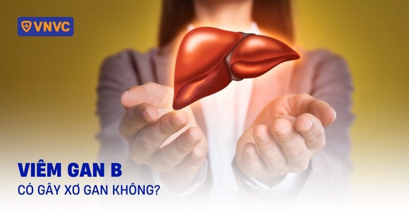 viêm gan b có gây xơ gan không
