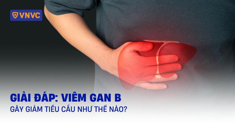 viêm gan b gây giảm tiểu cầu