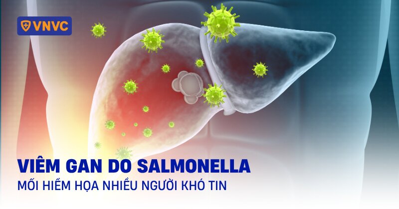 viêm gan do salmonella