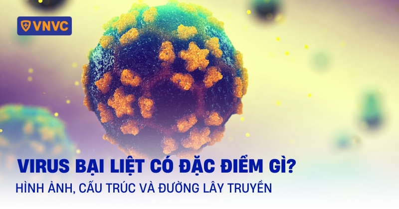 virus bại liệt