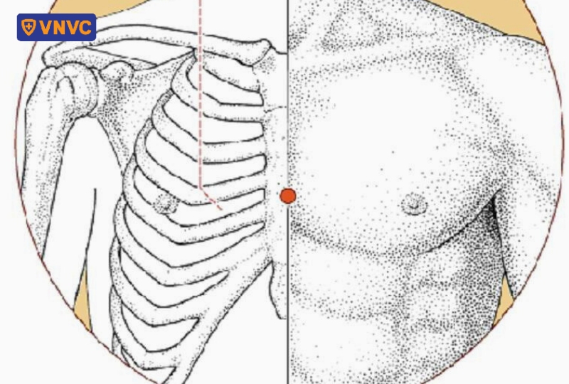 huyệt đản trung