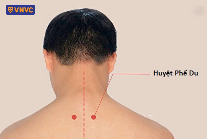 huyệt phế du