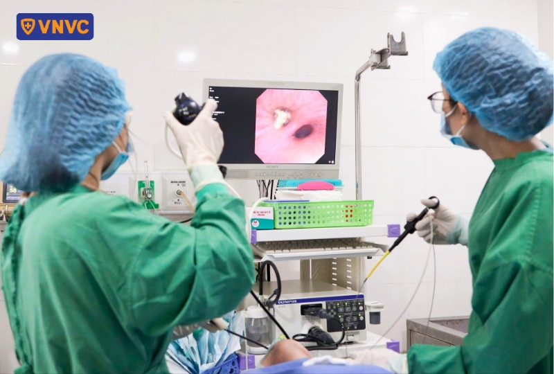 màn hình nội soi phổi