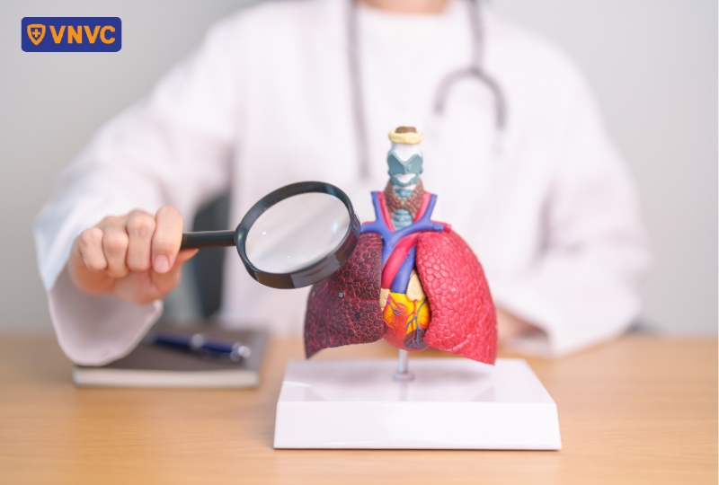 mô hình phổi bị ung thư